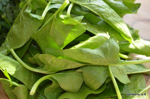 <!--:en-->Green Peppermint Smoothie (In French)<!--:--><!--:fr-->Smoothie vert poire et menthe<!--:-->